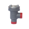 Forged steel RCY/RCT check valve