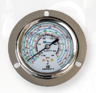 Shock-resistant pressure gauge