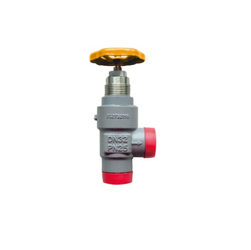 Forged steel SRY/SRT control valve